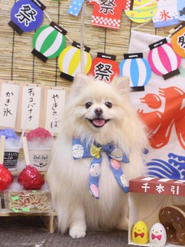 20240714しらすくん